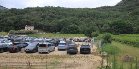 9. Vignes de la Combe d'Arc 2